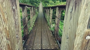 原尻の滝　吊り橋