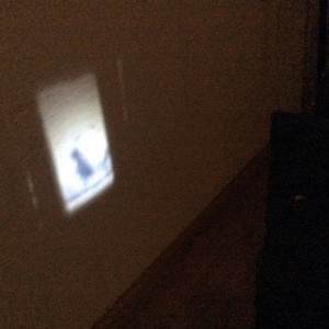 Handmade projector　haru