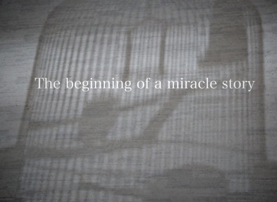 奇跡の鉋屑