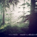 タイミング