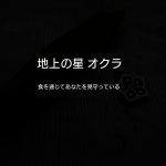 オクラネックレス、オクラペンダント、オクラ、地上の星、オクラ首飾り