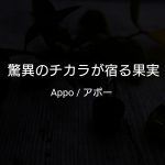 リンゴの首飾り,ネックレス