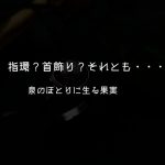 泉のほとりに生る果実,真珠の指環