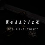 影響樹オルタナの花,Spring-of-Heart/スプリングオブハート,お花の指環